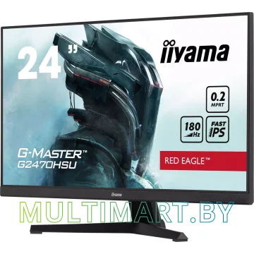 Игровой монитор Iiyama G-Master Red Eagle GB2470HSU-B6 картинка 5